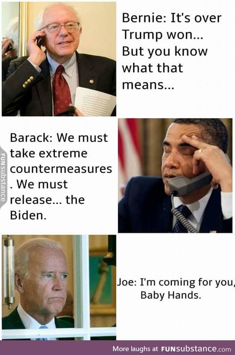 The Biden