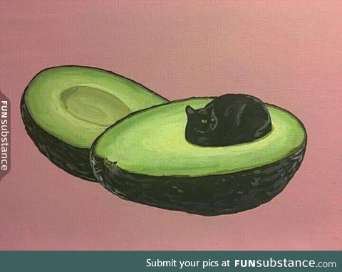 avogato