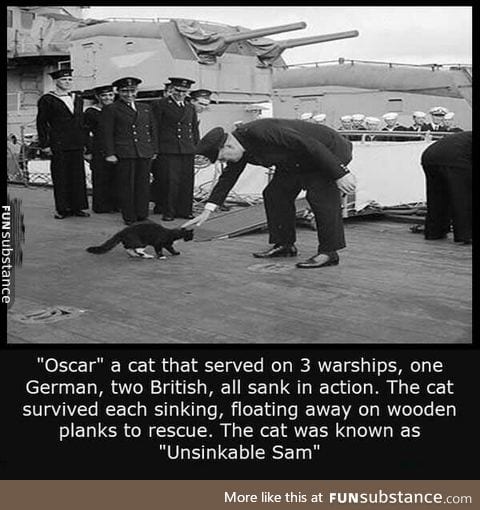 Unsinkable sam