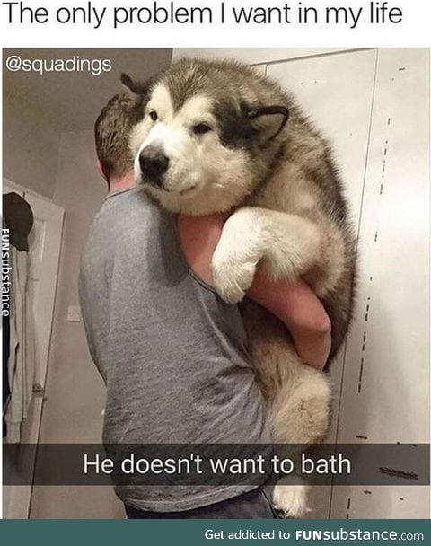 Fluffy doggo doesn't want a bath