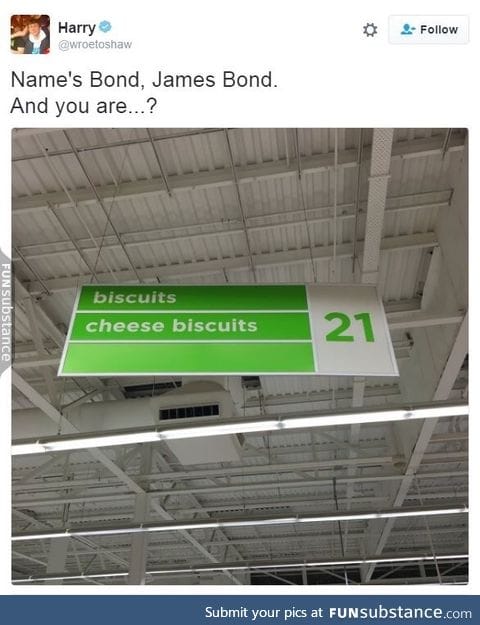 Agent Biscuit