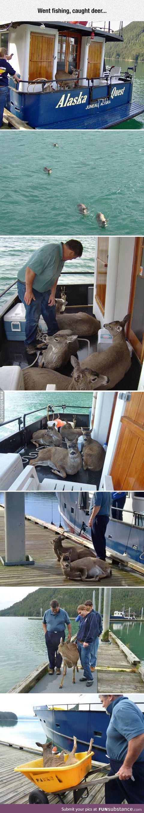 Deer fishing done properly