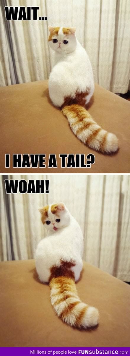 I have a tail?