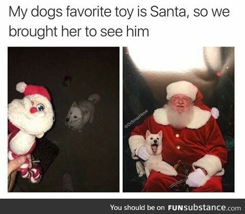 Dog see santa