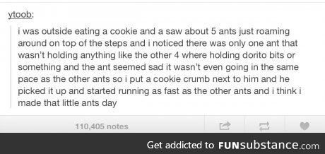 Ants