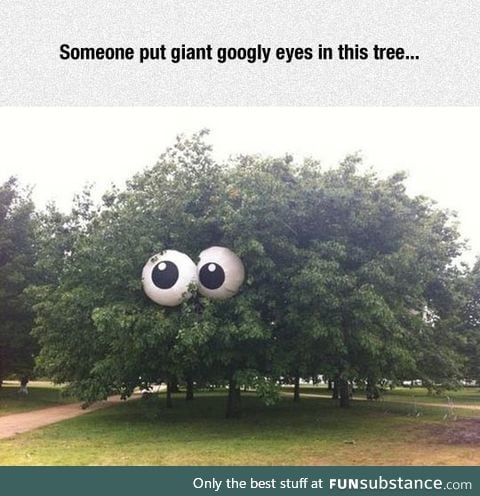 Googly tree