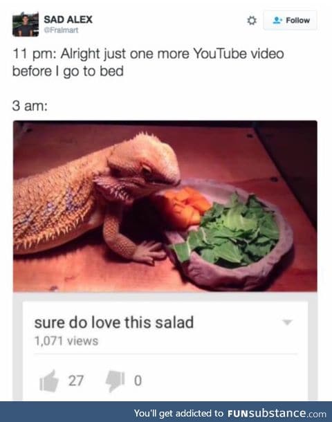 Salad