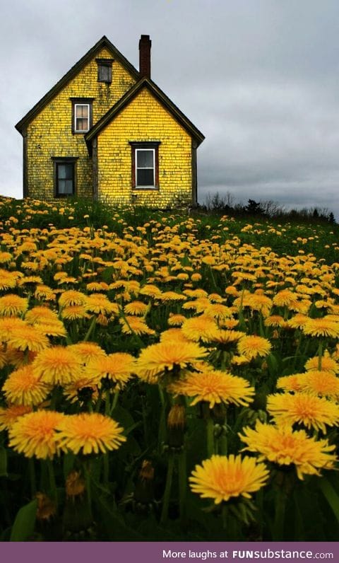 Abandoned house in Nova Scotia