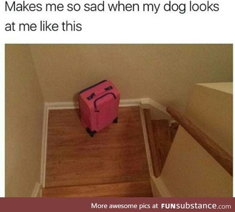 It's even worse when I come home smelling like other suitcases