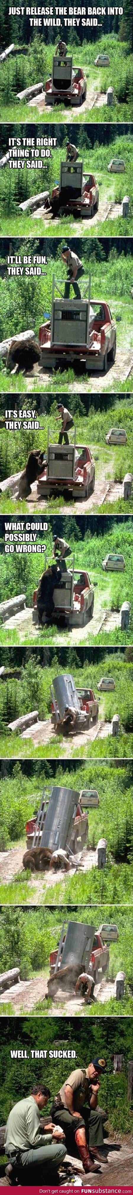 Set a bear free, they said