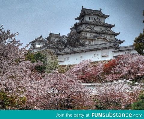 Imperial Palace in Tokyo