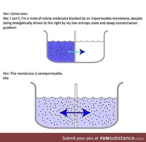 I go to an engineering school and here's a meme from it