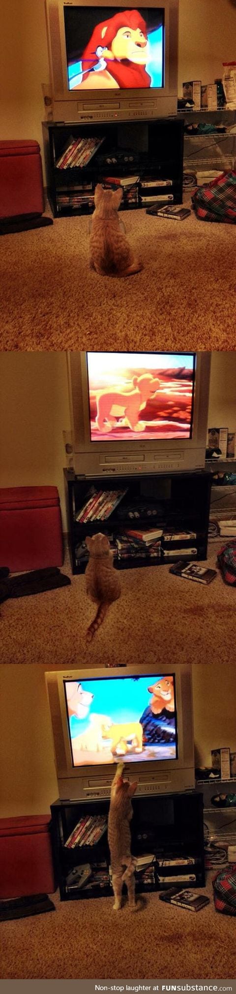 Watching the lion king