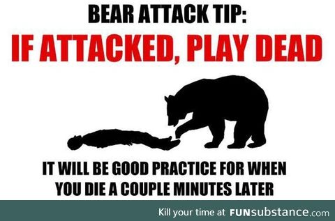 How to survive a bear attack