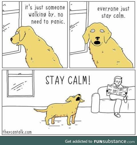 wholesome meme number I dunno - "stay calm"