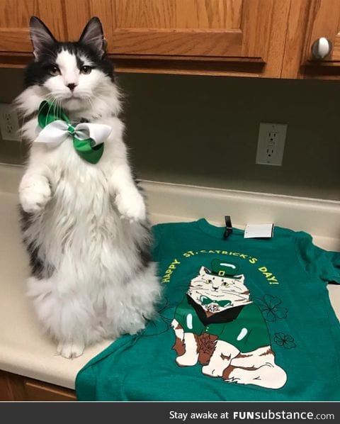 Happy St. Catricks Day!