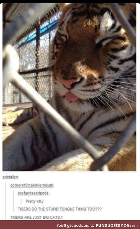 Blep