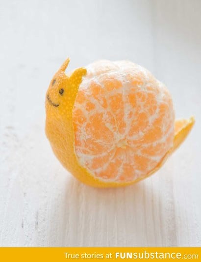 Orange snail