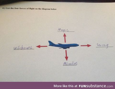 List the four forces of flight