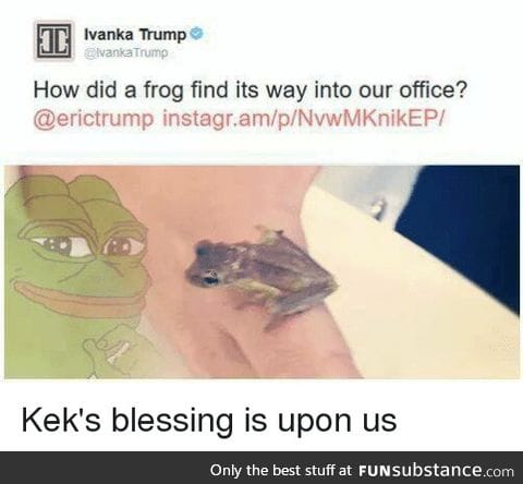 Considering Kek is the reason you're even there