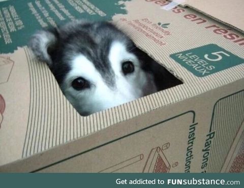 a box of g o o d b o y e