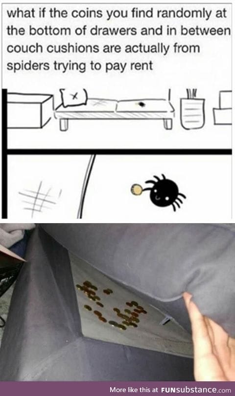 Didn't know spiders were so well mannered