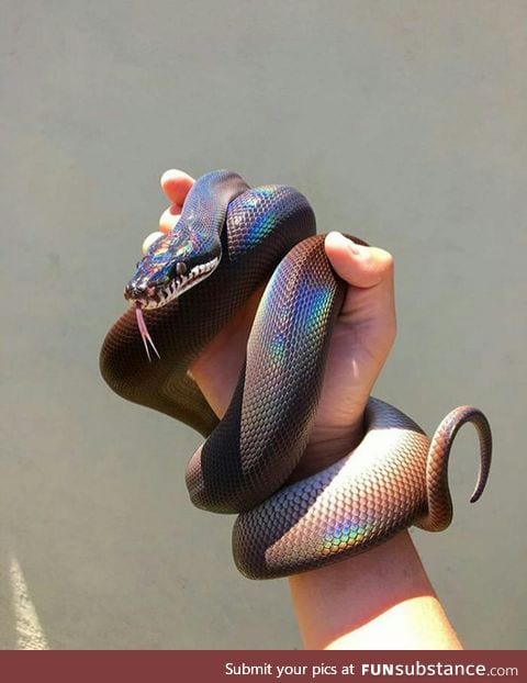 Pretty nope rope!