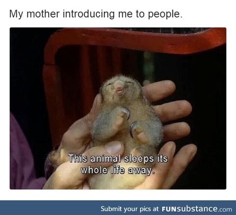 My nails are much shorter than those, but the description is otherwise accurate.