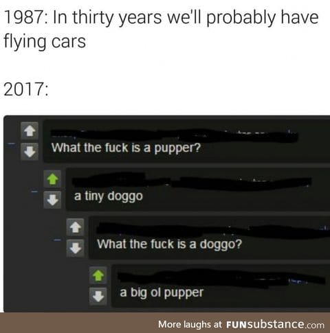 The future is here and it's full of doggos