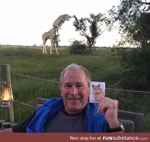 George Bush holding a picture of a hamster