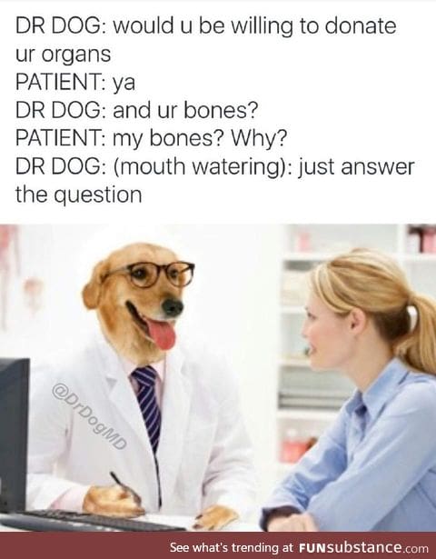 Answer the doggo's question