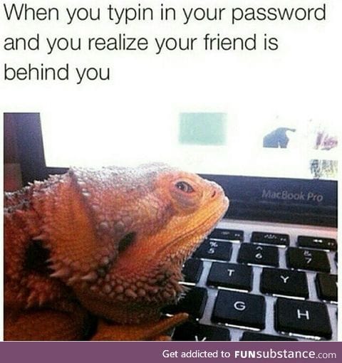 I love beardies