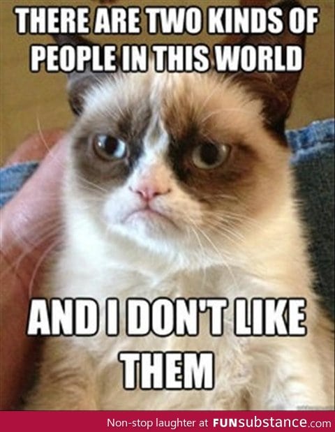 Grumpy cat