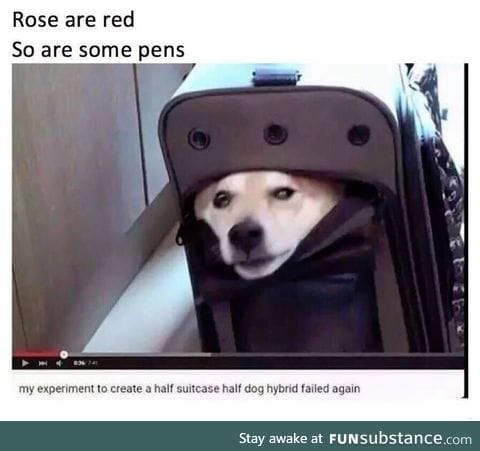 Roses are red