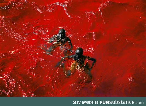 Two boys swimming in Lake Retba (or Lac Rose) in Senegal, Africa