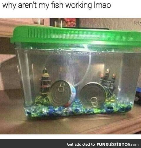 Come on fishy