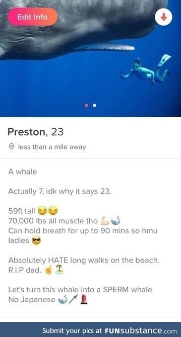 So many whales on Tinder