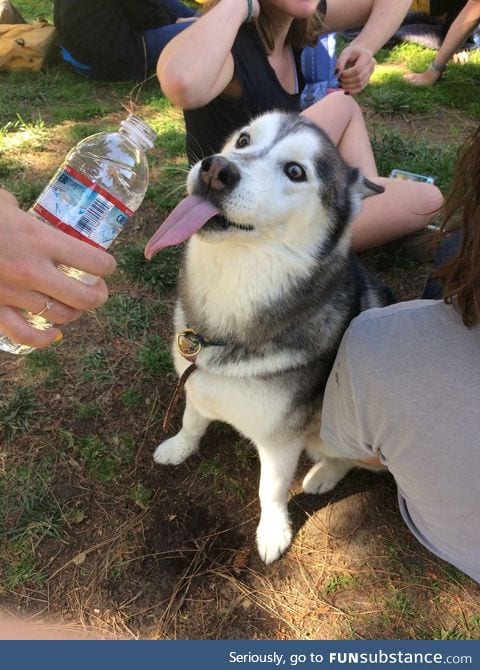 T H I R S T Y B O Y E does a loOOoOooOOong slurp!