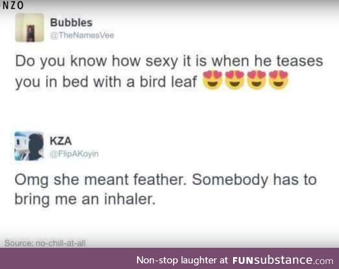 bird leaf hahahahah