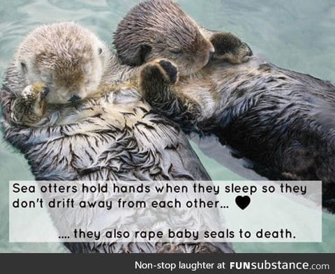 Sea otters