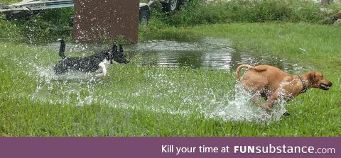 HECKIN SPEEDY WATER BOYES!