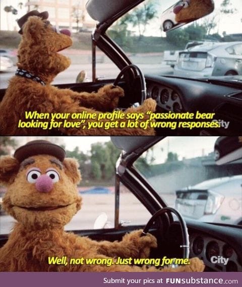 Fozzie on passionate bears