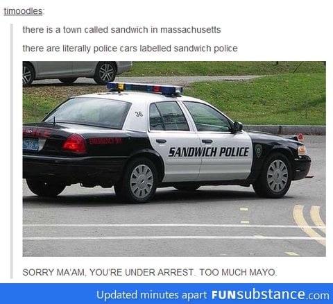 Sandwich police