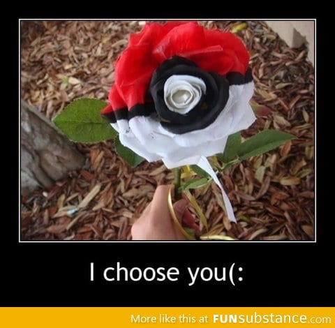 I choose you