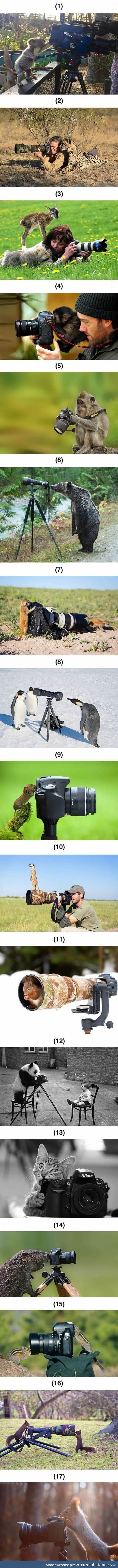 Creature photography