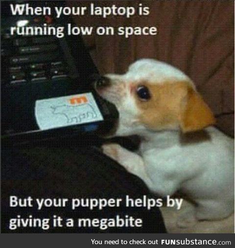 Itsa pupper!