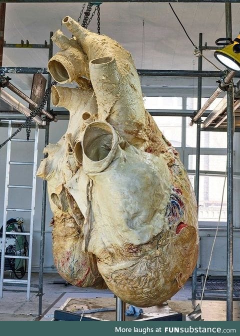 I give you....  A Whale Heart