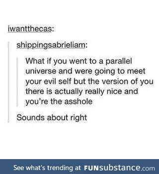 The other me would be a nice person pretending to be rude. Because that's opposite to me.