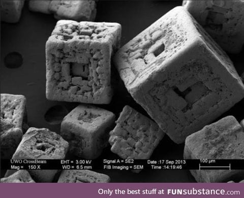 Salt grains under an electron microscope