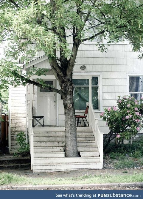 Shady stairs